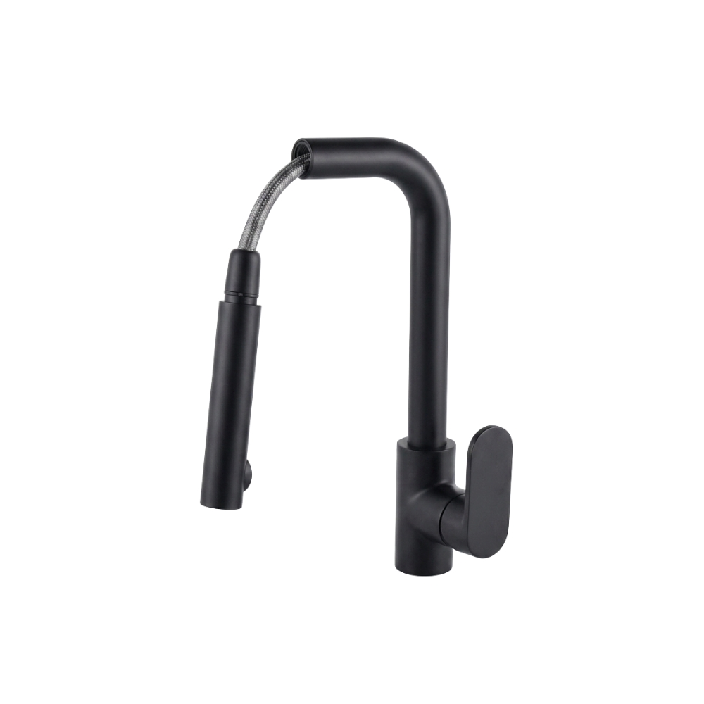 BGI-3191B خلاط مطبخ قابل للسحب 1 سرعة فرانكفورت لارج أسود من BGI - Image 1